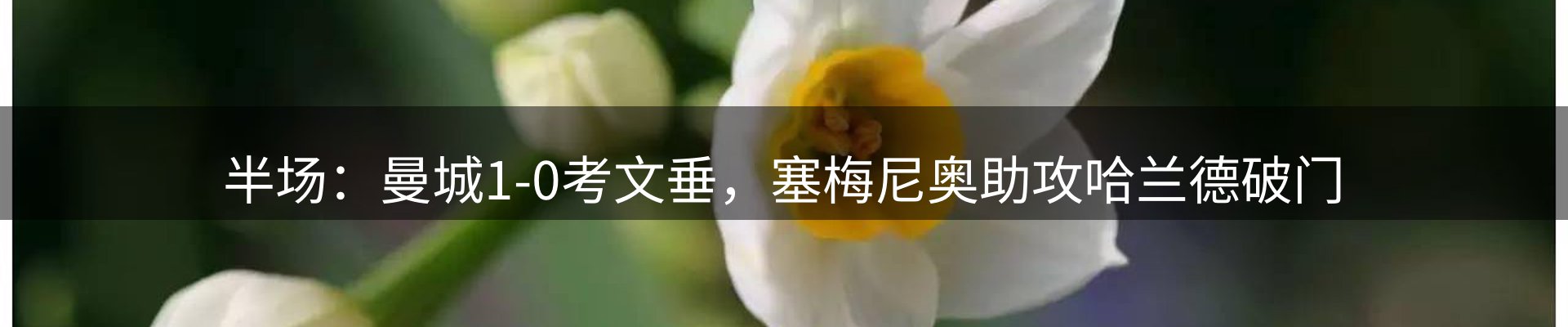 动态焦点