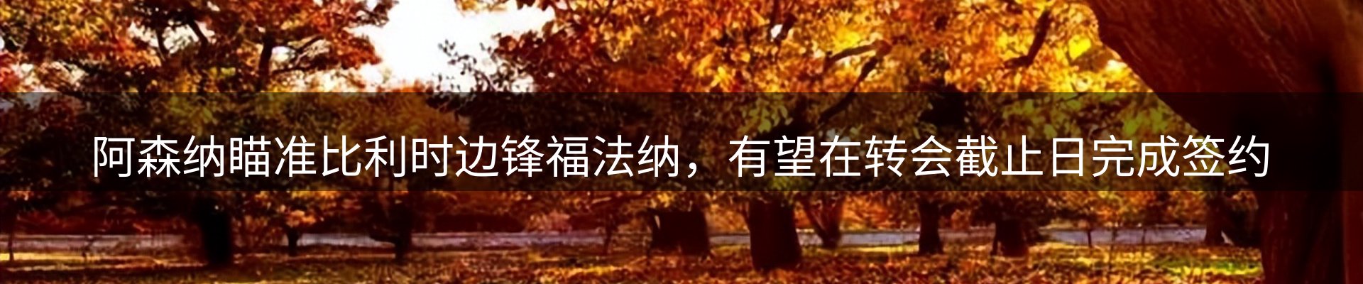 动态焦点